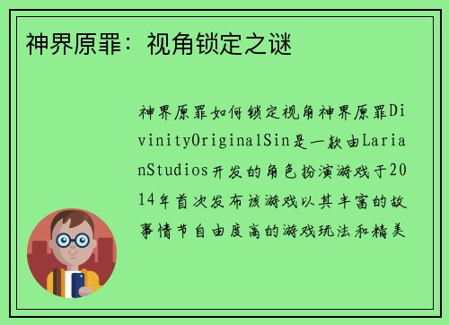 神界原罪：视角锁定之谜